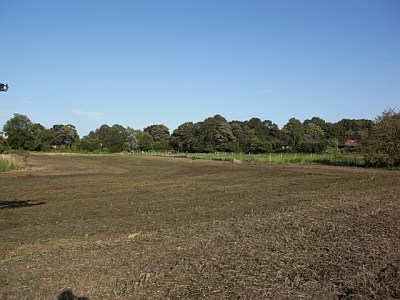 Koppel12