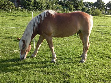 Bobbi2_384