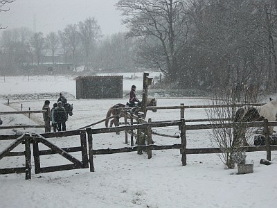 2009Winterreiteneiten